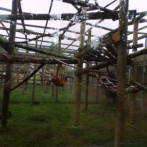 Primate enclosure (can’t remember what was in there) 7.7.24