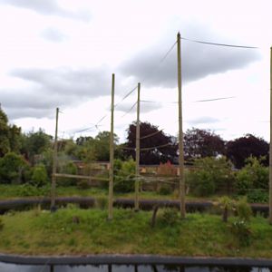 Gibbon forest island 7.7.24