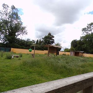 Vicuña enclosure 7.7.24