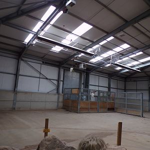 Giraffe indoors 7.7.24