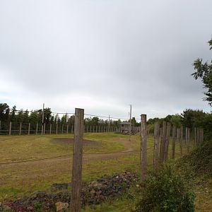 Giraffe enclosure 7.7.24