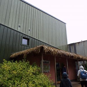 Chimpanzee Eden building 7.7.24