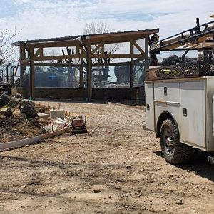 North America Trek Construction: Black Bear