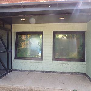 Siamang indoor viewing windows 7.7.24