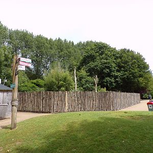 Former bush dog enclosure 7.7.24