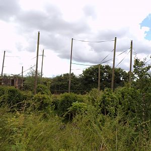 Gibbon forest climbing frame 7.7.24