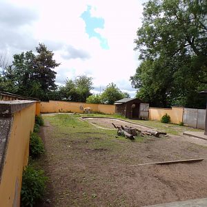 Vicuña enclosure 7.7.24