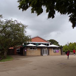 Tortoise/primate house 7.7.24