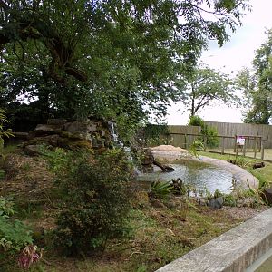 European pond turtle enclosure (former otter) 7.7.24