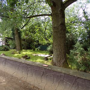 Sulcatta enclosure 7.7.24