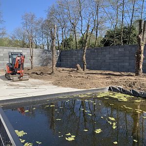 Upcoming Chimpanzee enclosure