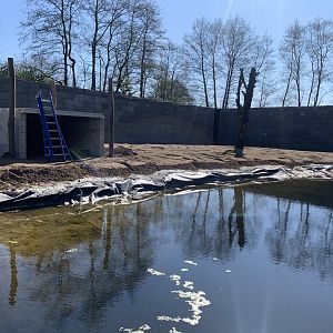 Upcoming Chimpanzee enclosure