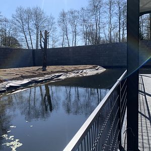 Upcoming Chimpanzee enclosure