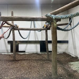 Indoor chimpanzee enclosure