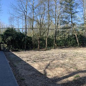 Space for Lemur enclosure