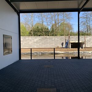 Upcoming Chimpanzee enclosure