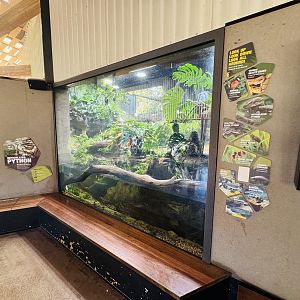 Reticulated Python/Blood Python/tropical fish enclosure