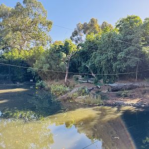Sumatran tiger enclosure