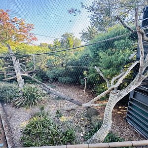 Binturong enclosure