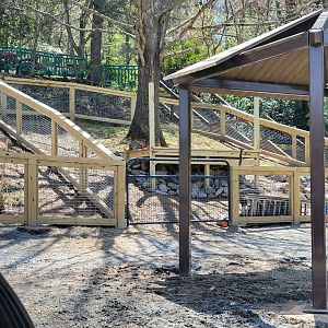 New Farmyard - April 2025