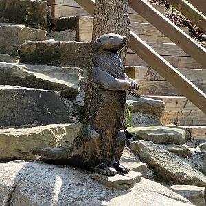 Otter Sculpture-April 2025