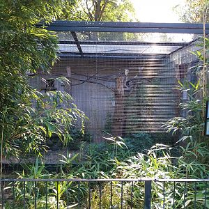 Callitrichidae - Blue-throated Piping-guan and Red-shouldered Macaw
