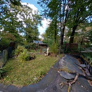 Titi and Agouti enclosure