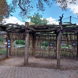 Flamingo viewing point