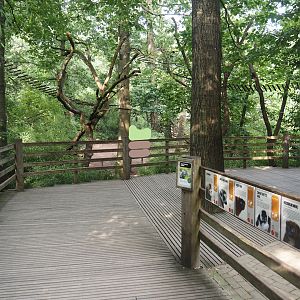 Madagascar lemur walk-through area - Viewing platform overlooking the feeding area, 2024-08-18