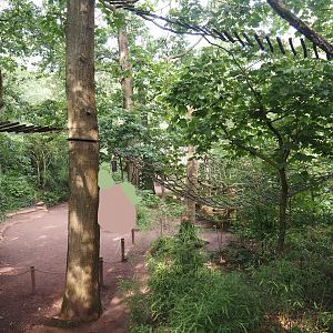 Madagascar lemur walk-through area - Feeding area, 2024-08-18