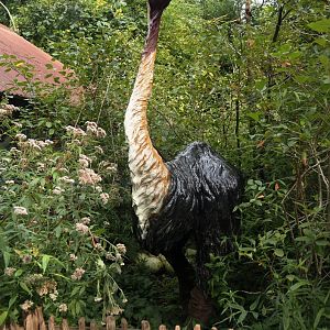 Aepyornis maximus model, 2024-08-18