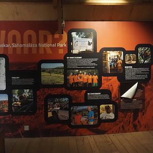 Education building - Conservation projects on Madagascar signage, 2024-08-18