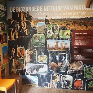 Education building - Biodiversity of Madagascar signage, 2024-08-18