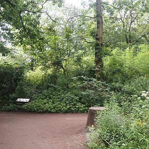 Madagascar lemur walk-through area, 2024-08-18