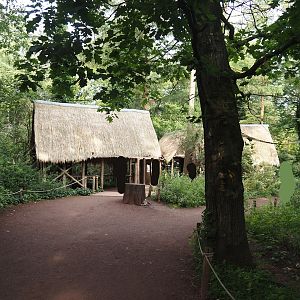 Madagascar lemur walk-through area - Village area with education huts and Blue-eyed black lemur exhibit, 2024-08-18