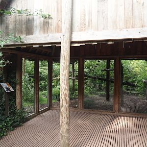 Blue-eyed black lemur exhibit and viewing area, 2024-08-18