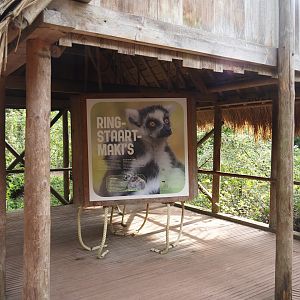 Madagascar lemur walk-through area - Hut with educational materials and climbing ropes for lemurs, 2024-08-18