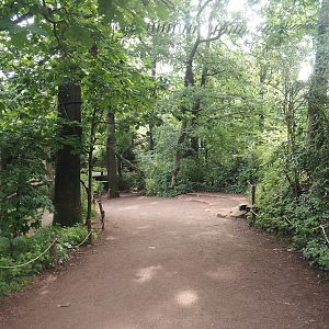 Madagascar lemur walk-through area - View towards feeding zone, 2024-08-18