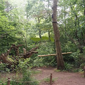 Madagascar lemur walk-through area - Feeding zone, 2024-08-18