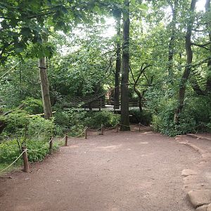 Madagascar lemur walk-through area - Feeding zone, 2024-08-18