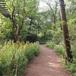 Madagascar lemur walk-through area, 2024-08-18