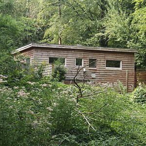 Madagascar lemur walk-through area - Lemur house, 2024-08-18