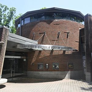 Reptile Wing - Exterior