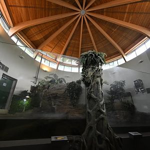 Reptile Wing - Alligator Exhibits