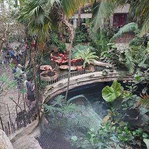 Apr. 2025 - Mundo Maya - (from Cafe Maya)