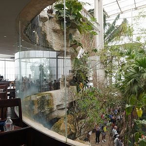 Apr. 2025 - Mundo Maya - (from Cafe Maya)