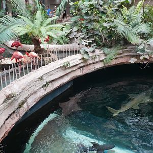 Apr. 2025 - Mundo Maya - Cenote (From Above)