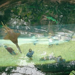 Apr. 2025 - Mundo Maya - Cenote (From Above)