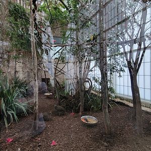 Apr. 2025 - Mundo Maya - Selva Maya