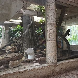 Apr. 2025 - Mundo Maya - Mayan Temple - Ocelot Exhibit